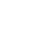Evolution games at Magical Vegas Casino